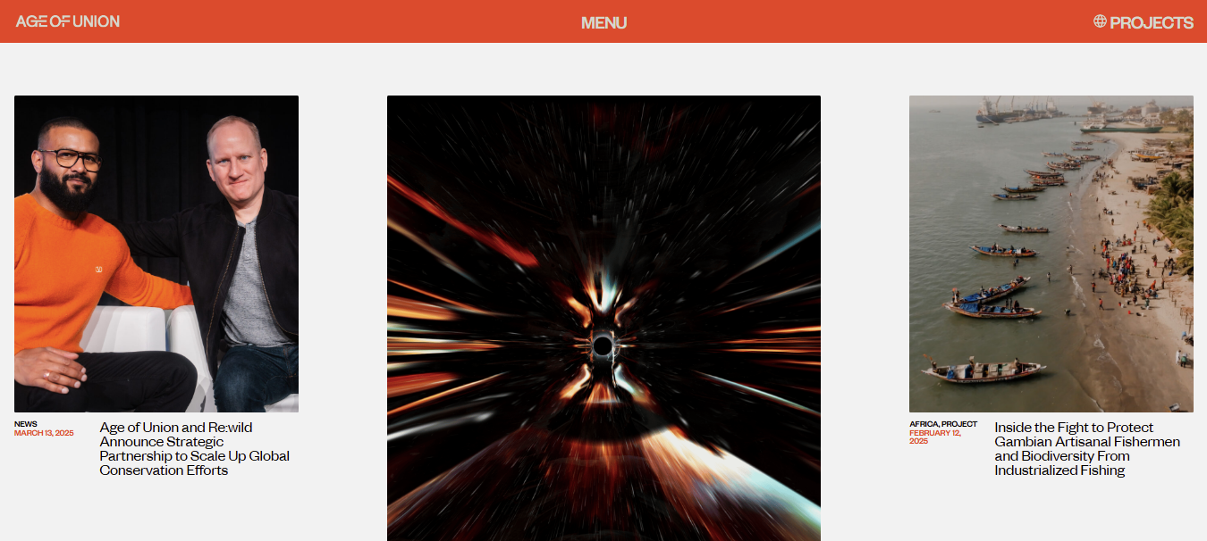 single portfolio image