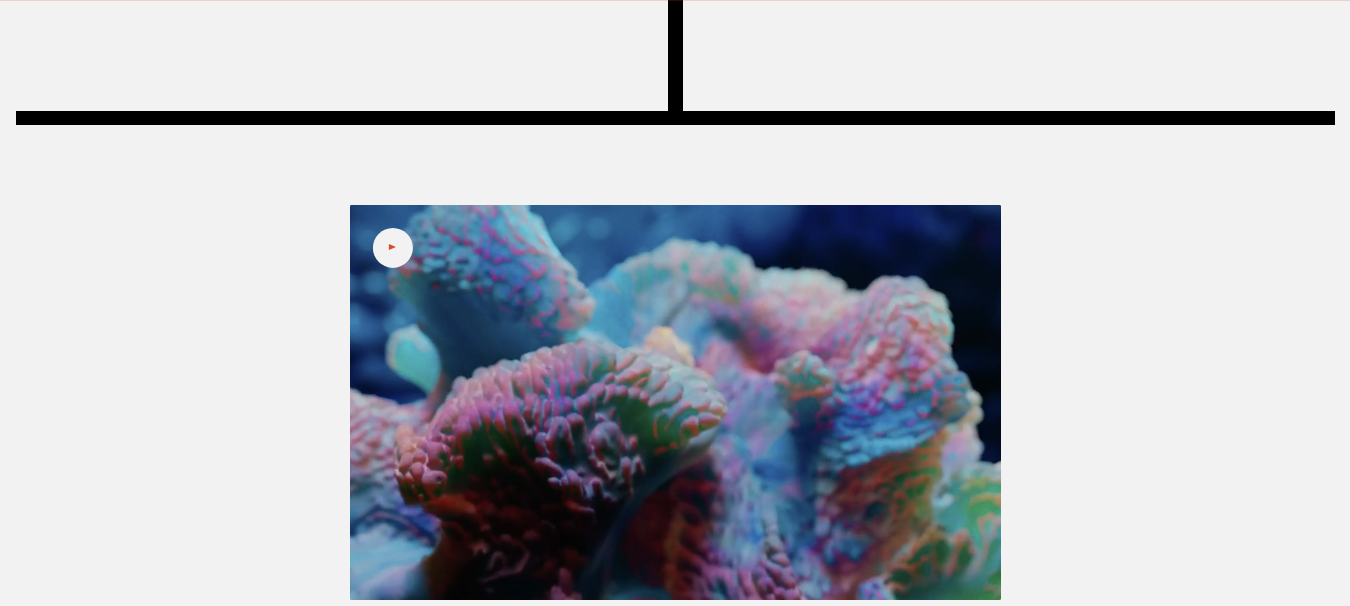 single portfolio image
