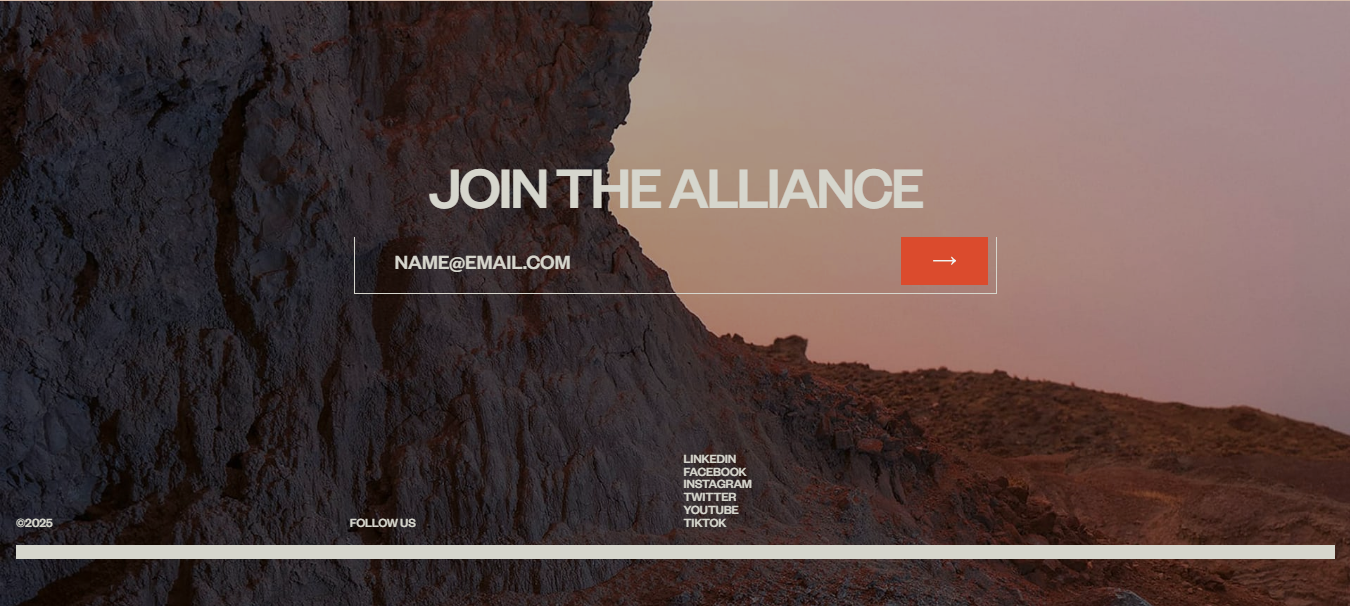 single portfolio image